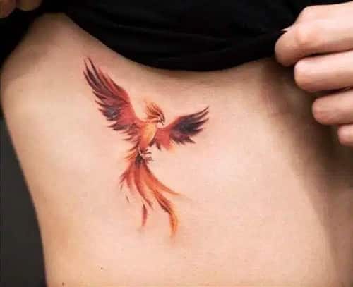 Top 97+ about fire phoenix tattoo latest .vn