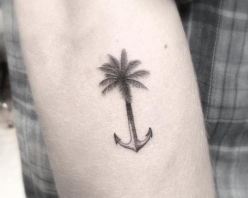 Anchored palm tree