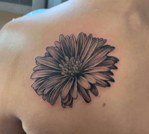 Beautiful Aster flower tattoo design