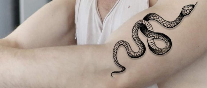 Best Snake Tattoo Designs