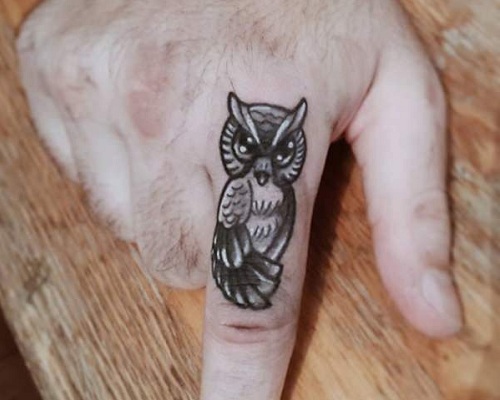 Black and white owl on a finger