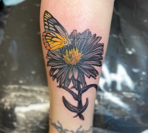 Butterfly Aster flower tattoo design