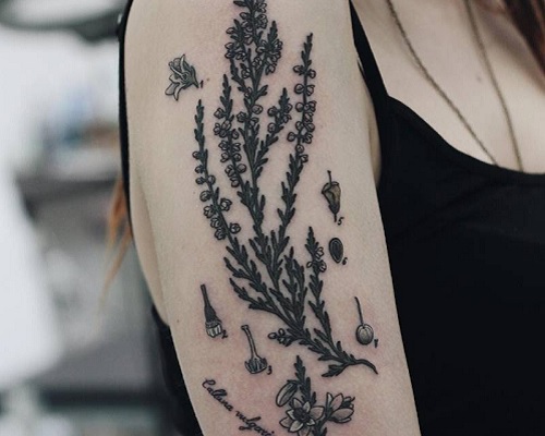 Herbalist heather flower tattoo