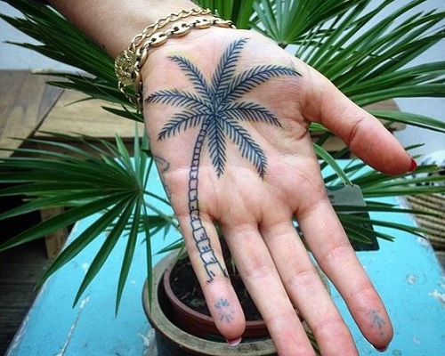 Palm tree on your palm