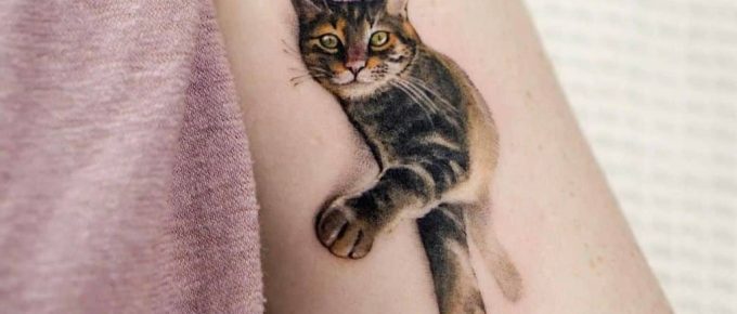 Top Cat Tattoo Ideas