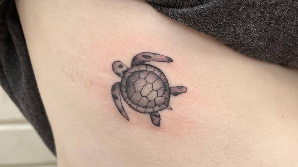 37 Baby Turtle Tattoos
